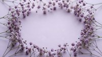 Delicate purple baby's breath flowers arranged in elegant circular frame on soft lavender background for wedding invitations and romantic designs.