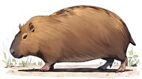 Capybara walking in natural habitat with grass elements, side view illustration showing detailed fur texture and characteristic features of largest rodent species.