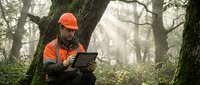 Forest worker in safety gear using digital tablet for data collection and environmental monitoring in misty woodland setting.