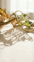 Elegant autumn vine with dried leaves casting intricate shadows on white surface in warm natural sunlight for seasonal home decor and botanical design.