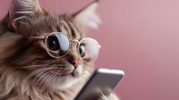 Adorable fluffy cat wearing round glasses looking at smartphone on pink background. Modern pet technology concept for social media and digital lifestyle.