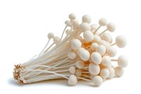 Fresh white enoki mushrooms bunch with long stems and small round caps isolated on white background, ready for cooking and food design projects.