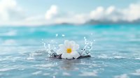 White daisy flower floating on turquoise ocean water with splashing droplets against blurred tropical seascape background in soft dreamy atmosphere.