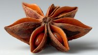 Star anise spice pod with distinctive star shape and rich brown-orange color, isolated on neutral background for culinary and aromatic use.