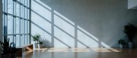 Modern minimalist interior with dramatic window light casting geometric shadows on polished floor, featuring potted plants and clean architectural lines.