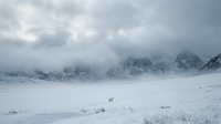 Solitary reindeer grazes across snowy arctic tundra beneath towering snow-capped mountains shrouded in mist and clouds during winter season.