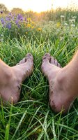 Bare feet resting in green grass with wildflowers at golden hour sunset. Freedom, relaxation and connection with nature concept for wellness lifestyle.