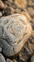 Weathered stone with natural spiral patterns among smooth river rocks creates organic texture for nature and geology themed designs.