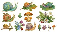Isolated garden snails, mushrooms, and wildflowers with ferns and berries on transparent background. Suitable for clipart, design projects, educational materials, and decorative applications.