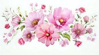 Pink cosmos flowers with delicate petals and green leaves arranged in horizontal composition, watercolor style floral elements on white background, isolated botanical art.