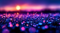 Magical sunrise over dewy grass with purple and pink bokeh effect creating dreamy atmosphere, nature macro photography with soft focus and glowing orbs.