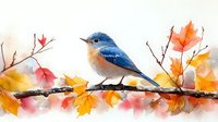 Watercolor bluebird perched on branch with autumn maple leaves in orange, yellow and red colors, soft artistic nature illustration on white background.