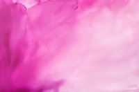 Vibrant pink watercolor gradient background with soft blending and delicate texture creates dreamy atmospheric effect for creative design projects and artistic layouts.