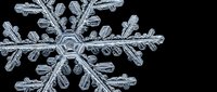 Intricate ice crystal snowflake with detailed hexagonal structure and delicate branching patterns isolated on black background for winter designs.