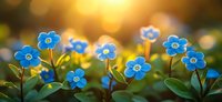 Blue forget-me-not flowers blooming in warm golden sunlight with soft bokeh background creating peaceful spring garden atmosphere for nature designs.