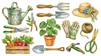 Gardening tools and plants collection isolated on white background, including watering can, potted plant, fresh vegetables, gloves, and hand tools for landscaping and horticulture projects.