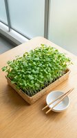 Fresh microgreens growing in wooden tray on table near window with small bowl and chopsticks, suitable for culinary, wellness, and organic food content.