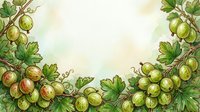 Gooseberries with leaves and vines arranged on cream background, isolated botanical illustration for culinary, recipe, and food design projects.