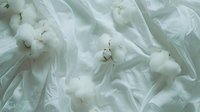 Raw cotton bolls and delicate white fabric create soft textural layers with gentle folds and natural fibers, highlighting organic materials and textile industry elements.