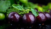 Fresh ripe dark purple plums with water drops and green leaves on black background, macro shot of juicy seasonal fruits for healthy eating concept.