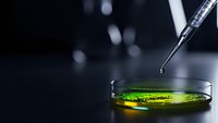 Laboratory pipette dropping green liquid sample into petri dish for scientific research and chemical analysis in modern lab setting.