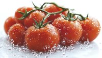 Fresh red cherry tomatoes on vine with water drops and splashing water, macro photography on white background, bright natural lighting for food advertising.