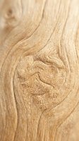 Close-up of natural wood grain texture showing swirling patterns and knots. Ideal for flooring, furniture design, and woodworking projects.