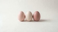 Three pastel colored eggs in pink, cream and mauve tones arranged in row on neutral beige background for Easter spring holiday decoration and design projects.