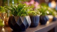Geometric black planters with green houseplants arranged on wooden shelf against blurred background with soft bokeh lights create modern home decor atmosphere.