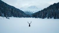 Lone deer silhouette standing in snowy valley surrounded by pine forest and mountain peaks on moody winter day, dramatic wilderness landscape.