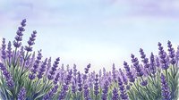 Watercolor lavender field border with purple blooming flowers on soft pastel sky background, perfect for cards, banners, and nature designs.