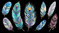 Colorful feathers with ornamental patterns isolated on transparent background, ready for t-shirt design, clipart, stickers, sublimation and print-on-demand projects.