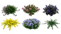 Colorful flowering shrubs and bushes collection isolated on white background for landscape design and garden planning projects.