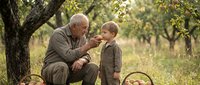 Senior Caucasian grandfather sharing apple with young grandson in autumn orchard, bonding moment between generations under fruit trees.
