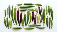 Colorful assortment of fresh chili peppers in green and red varieties arranged on white background. Spicy ingredients for cooking and culinary projects.
