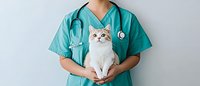 Female veterinarian in green scrubs holding adorable white and ginger cat during medical examination. Stethoscope around neck against light background shows professional pet care.