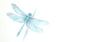 Delicate turquoise dragonfly watercolor illustration isolated on white background for nature designs, greeting cards, and decorative projects.