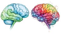 Watercolor brain hemispheres showing left logical side in cool blues and greens, right creative side in warm rainbow colors for psychology concepts.