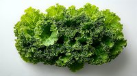 Fresh green curly kale leaves isolated on white background, rich in vitamins and nutrients. Healthy organic vegetable for cooking and salads.