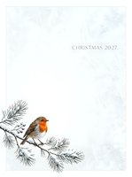 Robin perched on frost-covered evergreen branch with berries against white background. Seasonal greeting card template for Christmas 2027 designs.