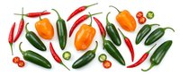 Fresh colorful chili peppers and jalapenos scattered on white background. Spicy hot peppers variety for cooking, seasoning and culinary ingredients isolated.
