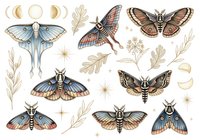 Isolated moth and butterfly collection with botanical elements, moon phases, and stars on white background. Vintage natural history illustration style suitable for fabric, wallpaper, stationery, and design projects.