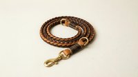 Braided leather dog leash with brass snap hook, coiled on white background, showcasing handcrafted quality and durable pet accessory design.