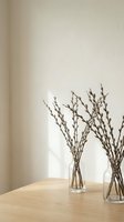 Pussy willow branches in glass vases on wooden table against neutral beige wall creating minimalist spring home decor arrangement for interior design.