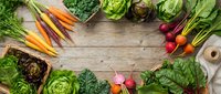 Fresh organic vegetables arranged on rustic wooden surface with carrots, lettuce, radishes and leafy greens, ideal for healthy eating and farm-to-table food styling.
