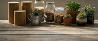 Rustic kitchen counter with glass storage jars filled with grains, wooden containers, and small potted succulents on weathered wood surface.