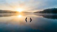 Two people stand on frozen lake at sunrise with misty forest backdrop, capturing serene winter morning landscape for travel and nature themes.