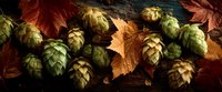 Fresh green hop cones scattered among vibrant autumn maple leaves on rustic wooden background, creating seasonal contrast for brewing and harvest themes.