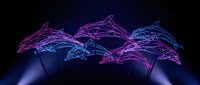 Glowing neon dolphins in wireframe polygon style with purple and blue gradient colors on dark background for modern digital art and technology designs.