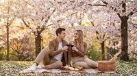 Young couple enjoying wine and picnic together in blooming orchard during spring season, romantic outdoor date celebration with flowering trees.